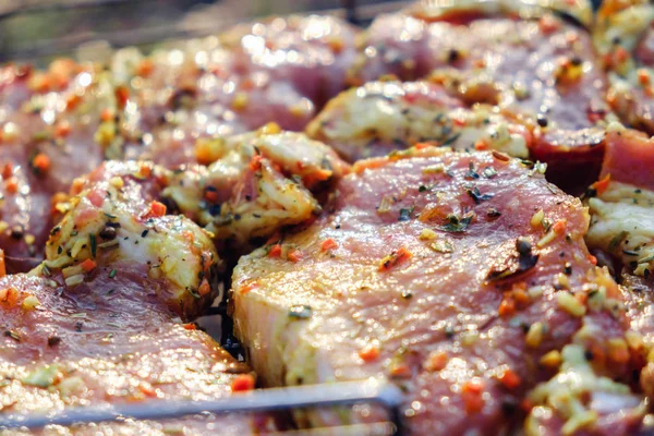 스테이크 그릴에 향신료와 신선한 돼지고기 쇠고기 스테이크 — 스톡 사진
