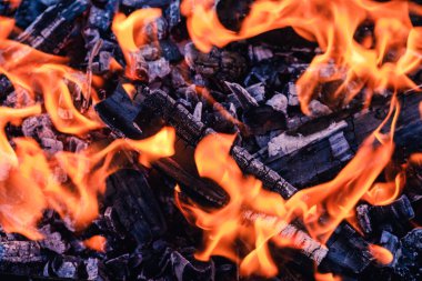 Parlak sıcak kömürleri ve Barbekü ızgara çukur yanan ormanda. Parlayan ve yanan kömür, Barbekü, kırmızı ateş ve kül. Hafta sonu eğlence arka plan. Yakın çekim, üstten görünüm.