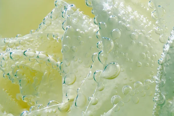 Pétalos Rosa Blanca Con Gotas Agua Fondo Aislado Cerca —  Fotos de Stock