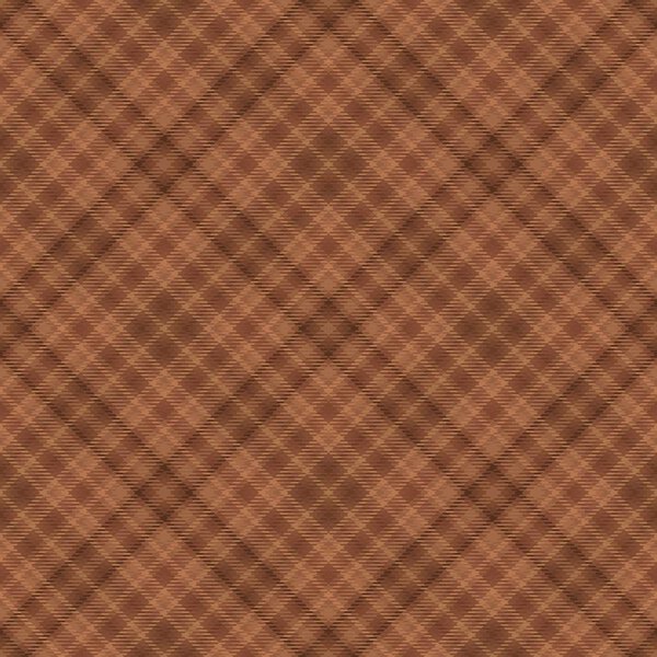 Tartan pattern, diagonal fabric background,  celtic.