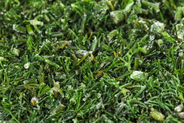 yemek yiyecek taze yeşil. mutfak.