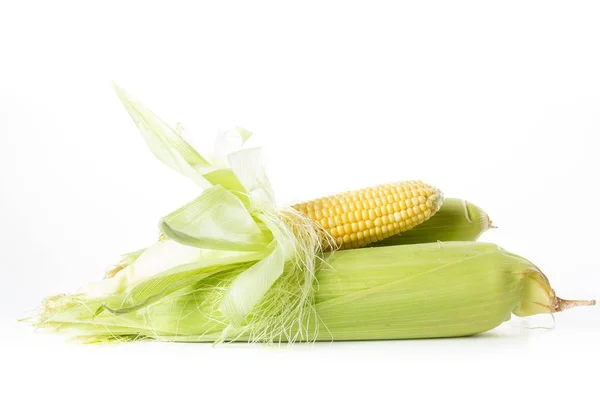 Kukorica növényi, elszigetelt fehér, élelmiszer, kukorica. — Stock Fotó