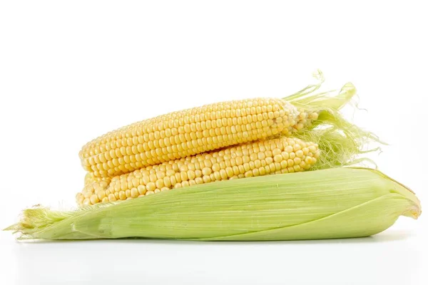 Maïs plantaardige geïsoleerd op wit, voedsel, geel. — Stockfoto