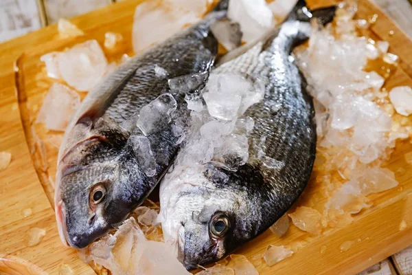 Ψάρια θαλασσινά dorado, Ωμοφαγία, διατροφή. Ψάρια θαλασσινά dorado ωμά με πάγο, μάγειρας. — Φωτογραφία Αρχείου