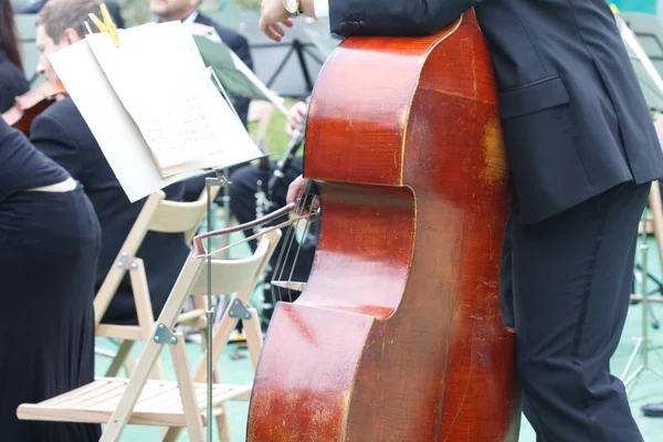 Cello player cellist in a free outdoor concert at a public park, musician plays cello