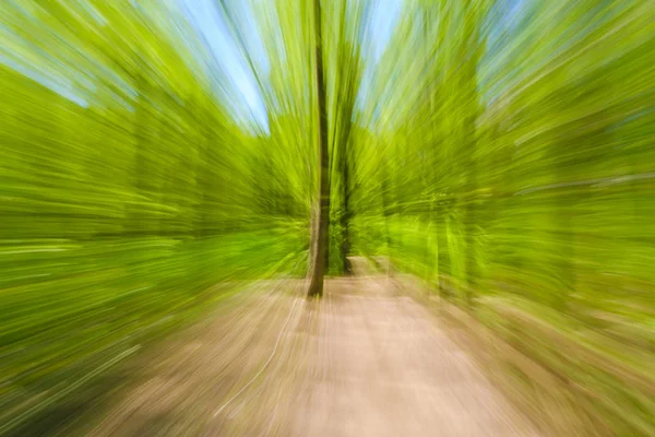 Abstrakt bild av trädet på landsbygden. Skapat genom att zooma ut medan stänga slutaren. Zoom speed blured rörelse. — Stockfoto