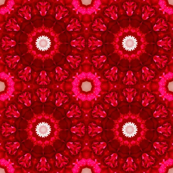Flower summer floral seamless pattern. design. — Stock Photo, Image