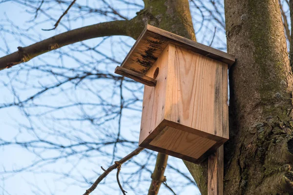 Houten vogelhuisje aan een boom — Stockfoto