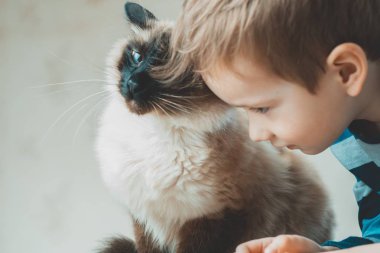 kedi çocuk Bali birlikte oynamak. ev bakımı.