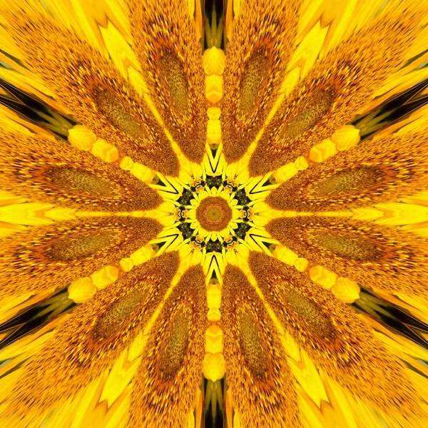 Girassol padrão fundo flor do sol. boho gráfico . — Fotografia de Stock