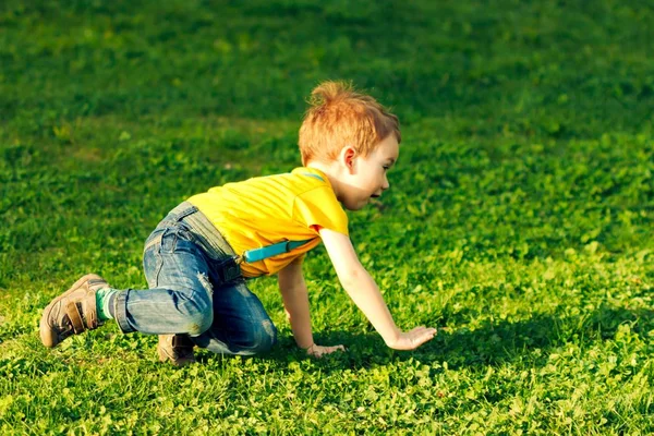 Menino no gramado de grama verde no parque de verão, bonito . — Fotografia de Stock
