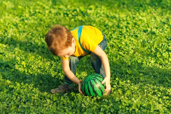 Pojke på grön gräsmatta i sommarpark, lite. — Stockfoto