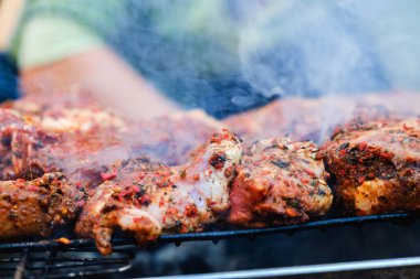 Yaz doğa ızgara barbekü et, yangın arka bahçesinde.