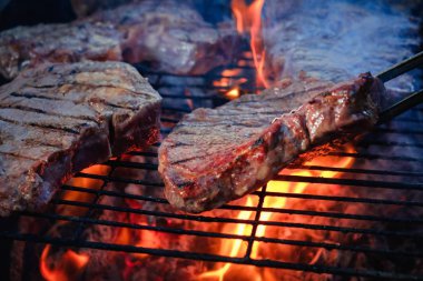 Yaz doğa ızgara barbekü et, piknik konsepti.