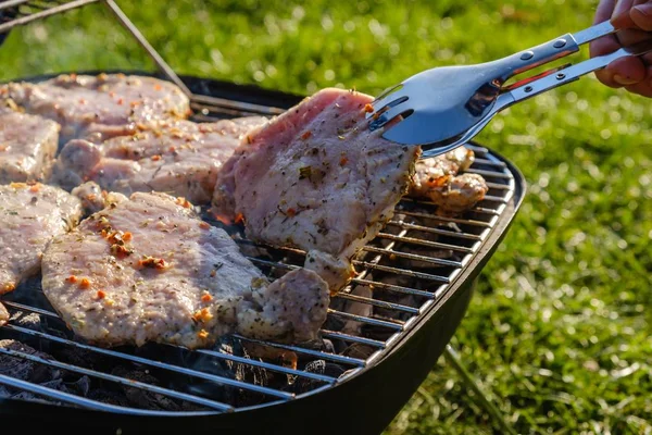 Verano naturaleza parrilla barbacoa carne, carbones a la brasa . — Foto de Stock