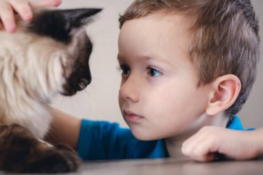 kedi çocuk bali birlikte oyun. Arkadaşı.