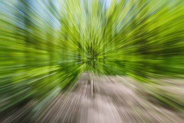 Soyut resim kırsal ağacı. Çekim kapatılması sırasında uzaklaştırma tarafından yaratılmıştır. Zoom Hız mevsimlik hareket.