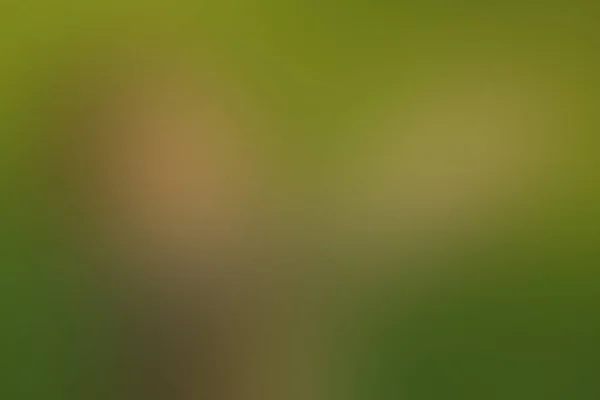 Gradient abstrakten Hintergrund grün, Gras, Wiese, Rasen, Feld, Hinterhof mit Kopierraum — Stockfoto
