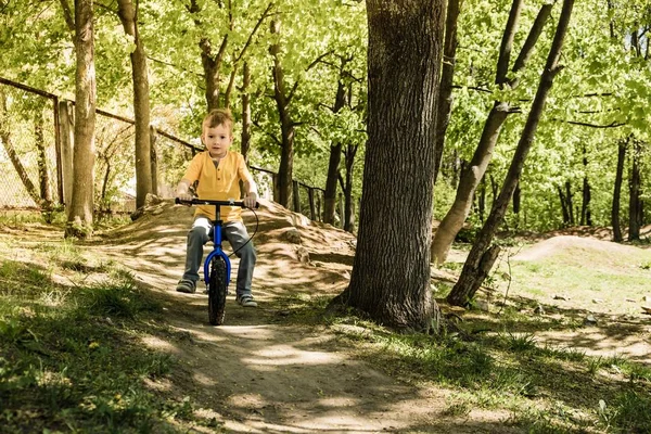 Велосипедна дитина літній велосипедний дитина. щасливий . — стокове фото