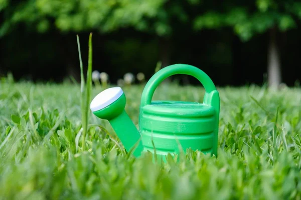 Jardinagem de primavera verde pode grama. spray . — Fotografia de Stock