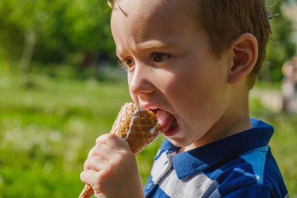 Pequeno menino caucasiano desfrutando de um sorvete derretendo em um dia quente de verão sufocante. Árvores verdes de verão no fundo — Fotografia de Stock