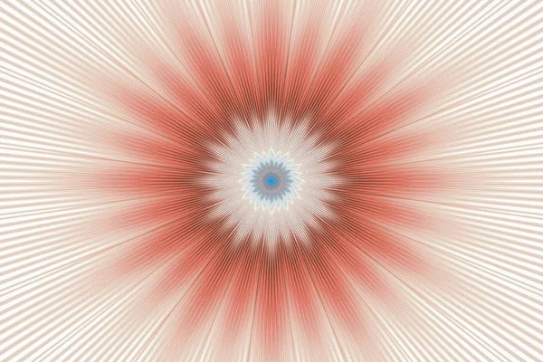 갈색 꽃 패턴 꽃 만화경입니다. 칼람카리 기하학적. — 스톡 사진