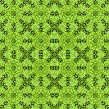 çiçek yaz çiçek dikişsiz desen. Zemin.