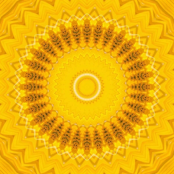 Sunflower pattern background sun flower. yellow. — Stock Photo, Image