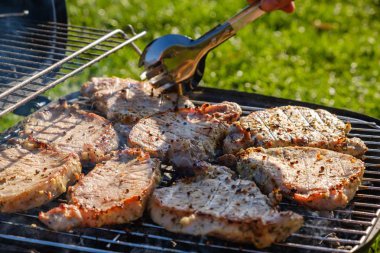 Yaz doğa ızgara barbekü et, bahar aile.
