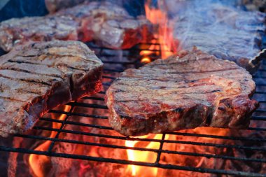 Yaz doğa ızgarası bbq eti, piknik mangalı.