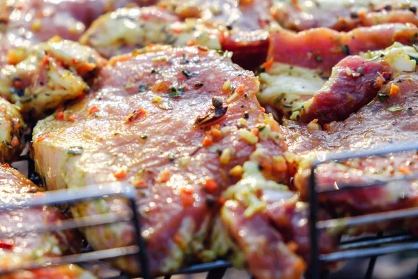 생 고기 쇠고기 스테이크 그릴, 정원 화재. — 스톡 사진