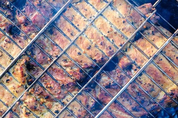 Summer nature grill barbecue viande, nourriture de pique-nique . — Photo