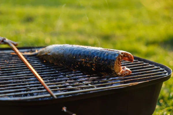 Parrilla pescado fuego caballa comida, hoguera . — Foto de Stock