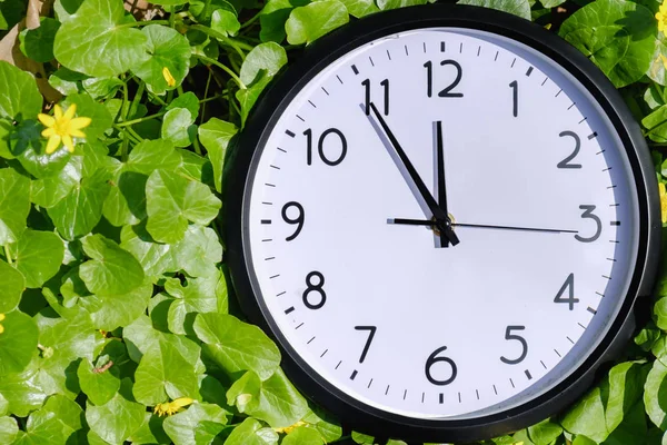 Uhr auf grünem Gras, auf Naturhintergrund, Deadline-Alarmkonzept — Stockfoto