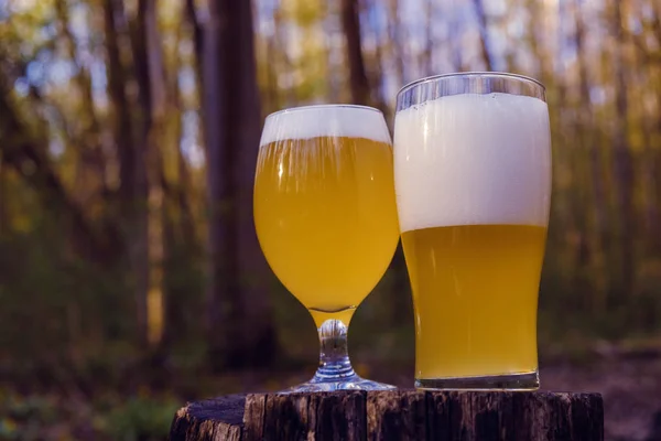 Deux verres de bière fraîche sur fond de parc naturel — Photo