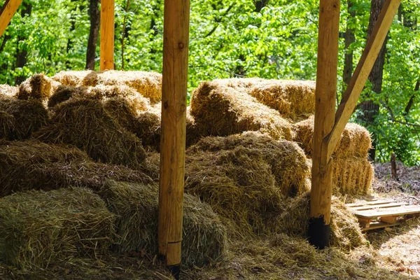 Storage hay agriculture rural straw, farming landscape. — Stock Photo, Image