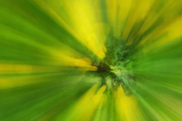 田舎での木の抽象花黄色のタンポポの花。シャッターを閉じている間ズーム アウトによって作成されます。花速 blured 運動をズームします。. — ストック写真
