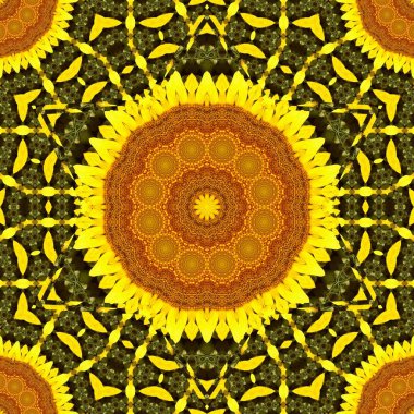 sunflower pattern background sun flower. illustration boho.