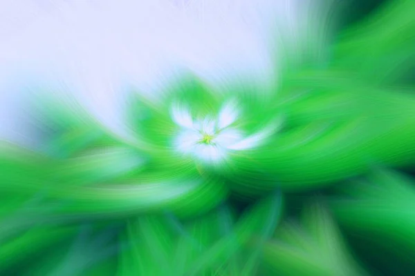 花のフラクタルの背景隆起アート。インフェルノ. — ストック写真
