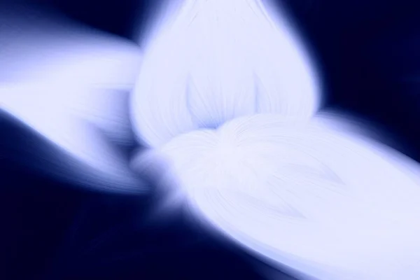 Llama fractal fondo oscuro azul. cosmos caliente . — Foto de Stock