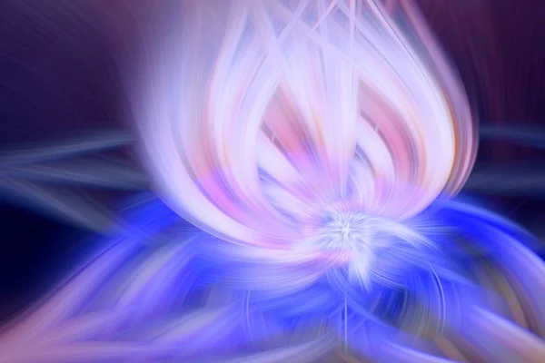 Florais fractal arte de destaque fundo. flor de fundo . — Fotografia de Stock
