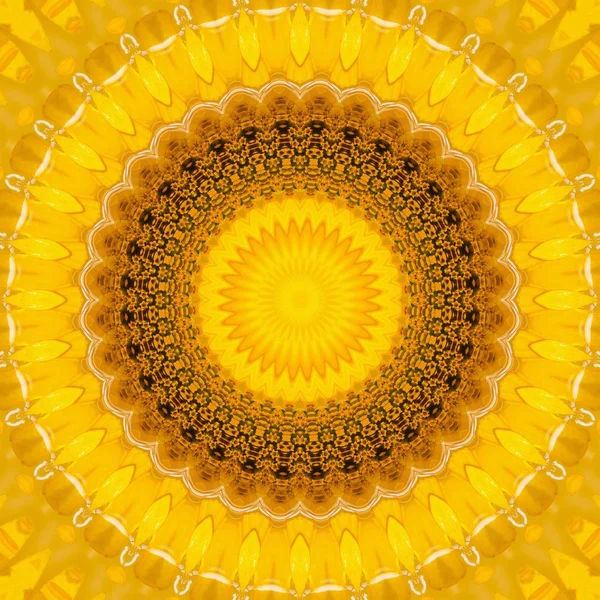 Sunflower pattern background sun flower. boohoo. — Stock Photo, Image