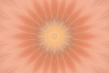 arka plan bej çiçek desenli. grafik geometrisi.