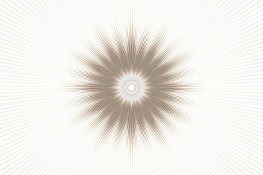 Çiçek desenli çiçek kaleydoskopu izole edildi. motifler Hintli.