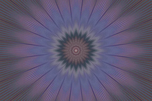 紫色のパターン花曼荼羅万華鏡。幾何学的なバイオレット. — ストック写真