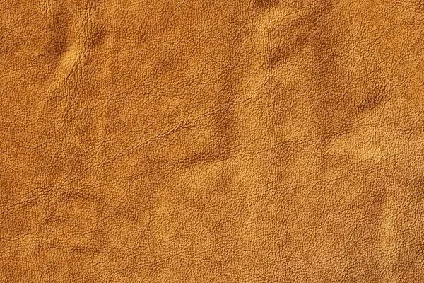 Leather texture background skin natural,  pattern.