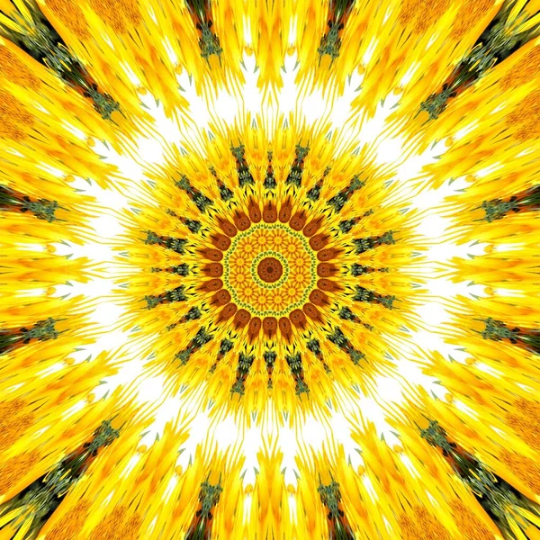 Zonnebloem Patroon Achtergrond Zon Bloem Bloemen Mandala Siergewassen — Stockfoto