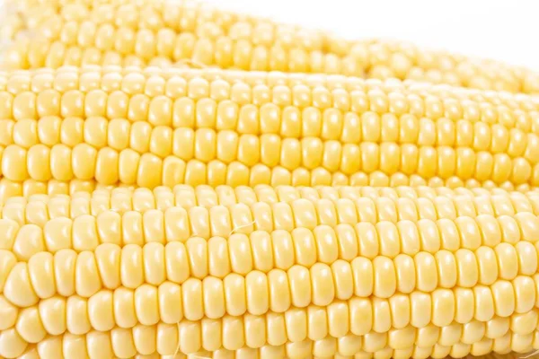 Kukoricanövény Izolált Fehér Élelmiszer Édes Egészséges Táplálkozás — Stock Fotó