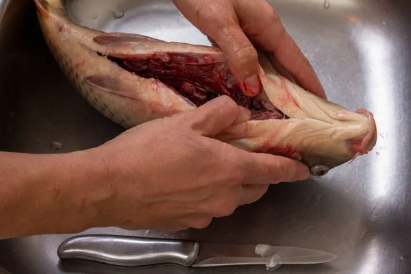 Karp Żywności Gotowania Czyszczenia Karaś Ryb Świeże Zwierząt — Zdjęcie stockowe