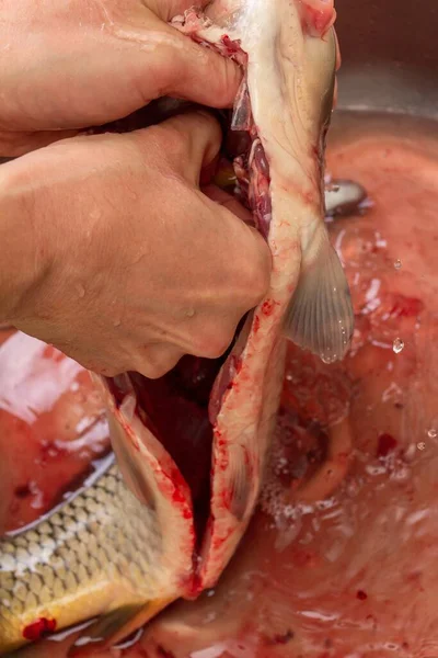 Карп Приготовления Пищи Рыбные Раки Чистки Свежей Кухня — стоковое фото
